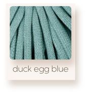 duck egg blue